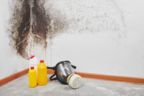 Best Crawl Space Mold Removal  in Benicia, CA