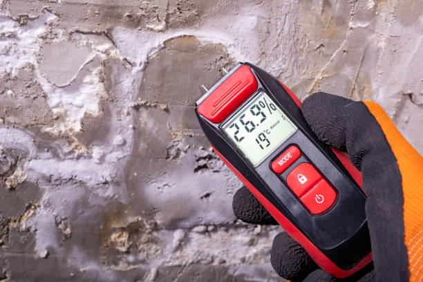 Mold Removal Process in Benicia, CA
