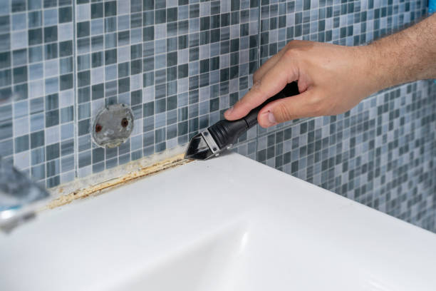 Best Commercial Mold Removal  in Benicia, CA