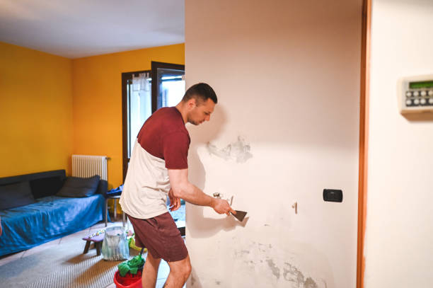 Best Office Mold Removal Services  in Benicia, CA